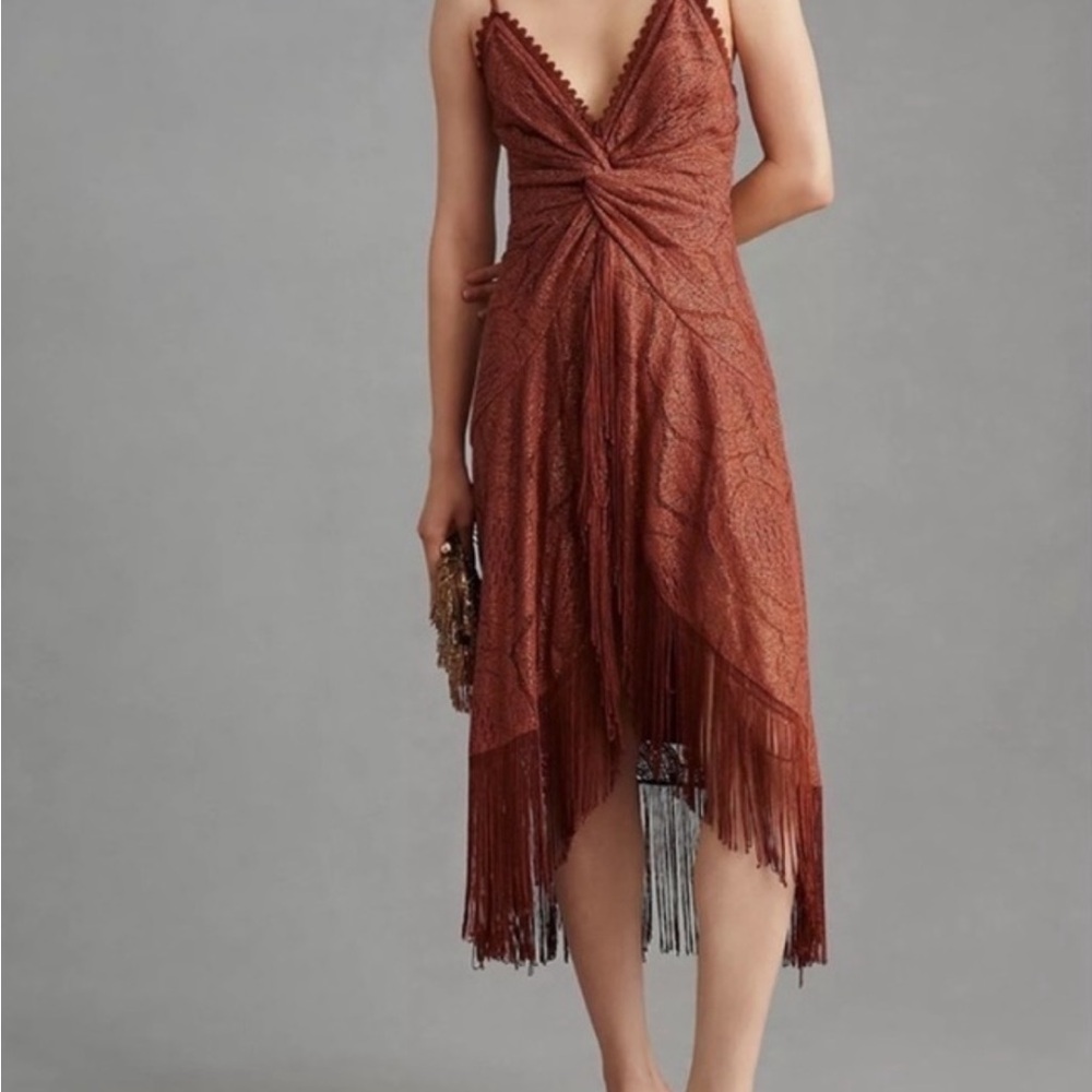 Anthropologie Mauve Lace and Fringe Dress